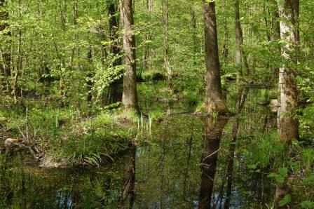 Knobleharjevo 2012 - Fotografski natečaj Občine Škocjan 2012 8